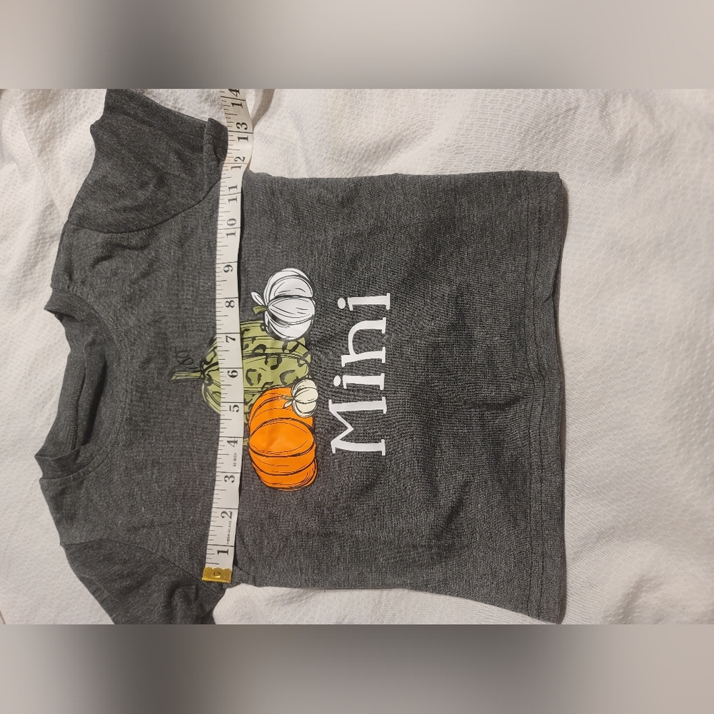 NWT toddler Mini Pumpkin Costume T Shirt 3t - Picture 5 of 6